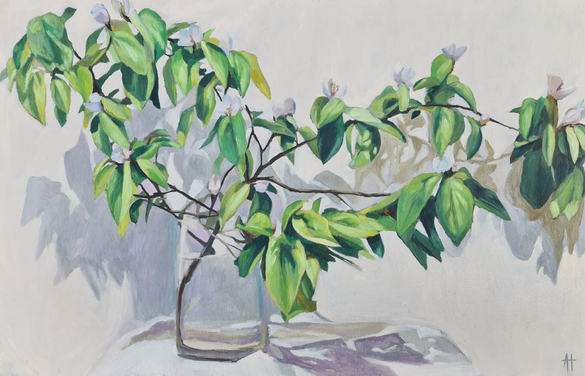 Alice Tilley - Quince Bloom I – The Toowoomba Gallery